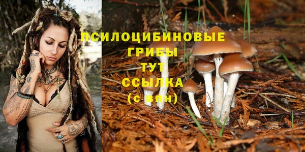 МДПВ Балахна