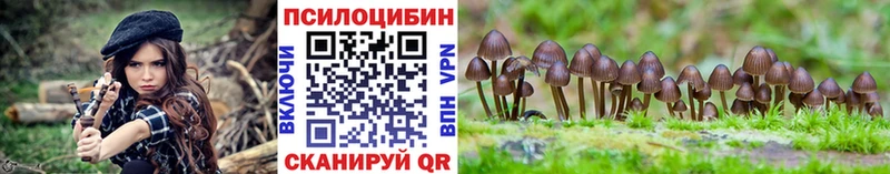 Псилоцибиновые грибы Magic Shrooms  Усть-Джегута 