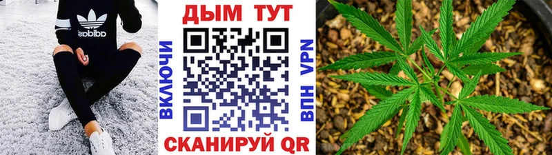 Бошки марихуана Bruce Banner закладки Усть-Джегута